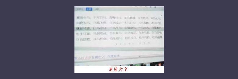 带有马的成语故事:燕昭好马